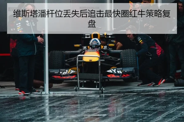 维斯塔潘杆位丢失后追击最快圈红牛策略复盘